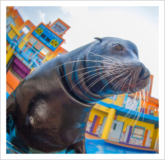 What’s New at Orlando Theme Parks?